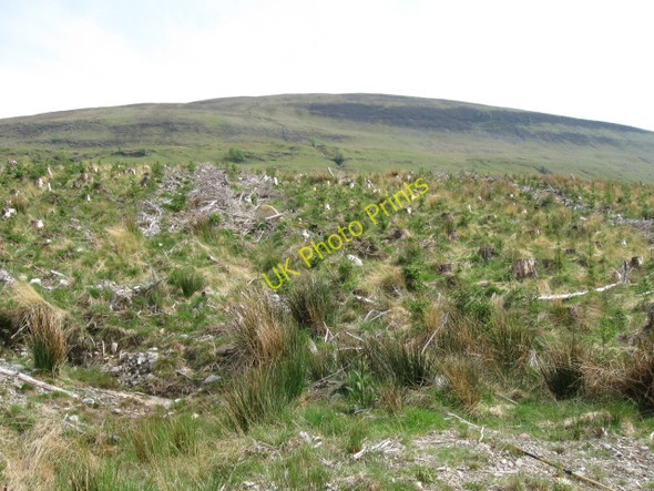 Photo 6"x4" Hillside & felled forestry Blarmachfoldach c2008