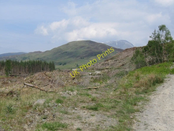 Photo 6"x4" Cleared forestry with Ben Nevis in distance Blarmachfoldach c2008