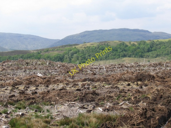 Photo 6"x4" Cleared forestry with hills other side on Loch Linnhe in distance Blarmachfoldach c2008