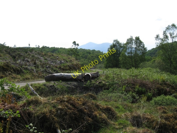 Photo 6"x4" Large logs, forest track & trees Blarmachfoldach c2008