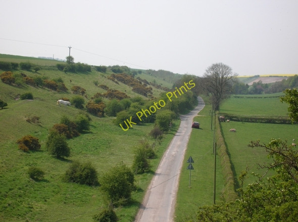Photo 6"x4" The road through Goodmanham Dale Gardham c2008