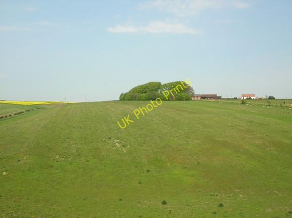 Photo 6"x4" Walk House Farm Gardham c2008