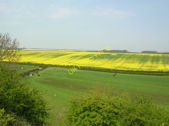 Photo 6"x4" Etton Wold Gardham c2008