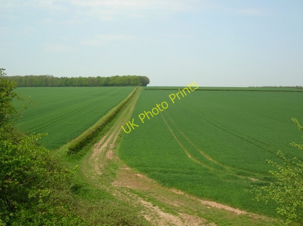 Photo 6"x4" Bridleway crossing under the Hudson Way Gardham c2008