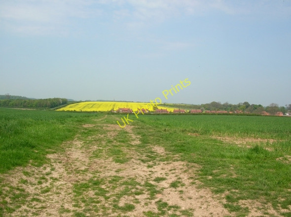 Photo 6"x4" Farm track to Etton Etton\/SE9843 c2008