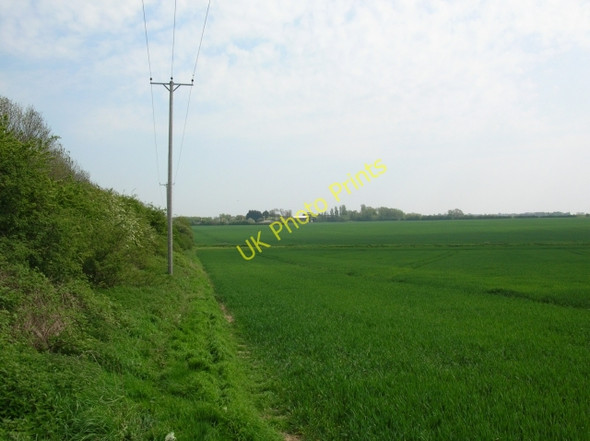 Photo 6"x4" Farmland along the Hudson Way Cherry Burton c2008