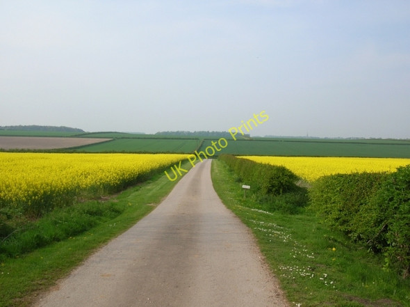 Photo 6"x4" Lane from Etton Fields Farm Gardham c2008