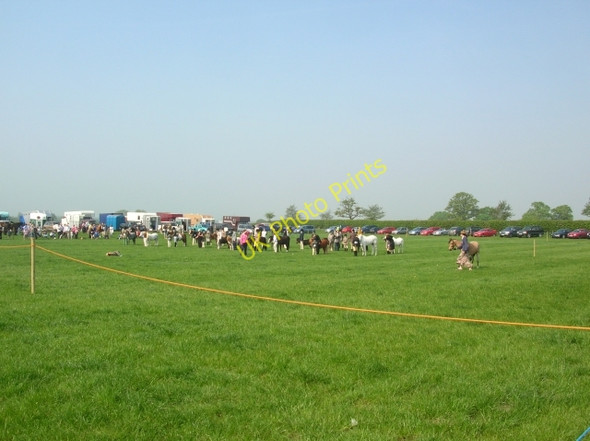 Photo 6"x4" Gymkhana at Raskelf show Raskelf c2008