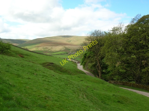 Photo 6"x4" Track to Duerley Bottom Gayle c2008