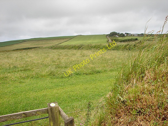 Photo 6"x4" Looking towards Condolden Farm Penpethy c2007