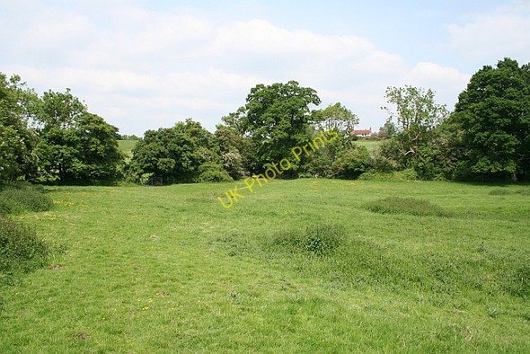 Photo 6"x4" Rough pasture, Castlemorton Birts Street c2008 P1