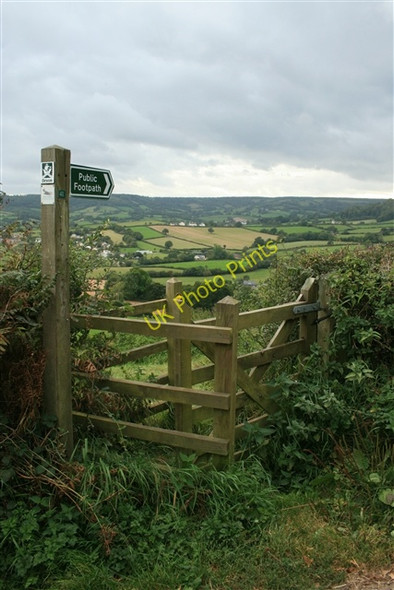 Photo 6"x4" Footpath, Baker's Gate Tricombe c2007