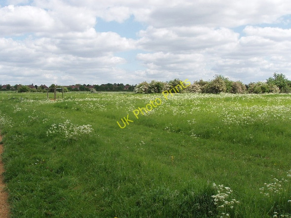 Photo 6"x4" Stockley Country Park Hayes\/TQ0980 c2008
