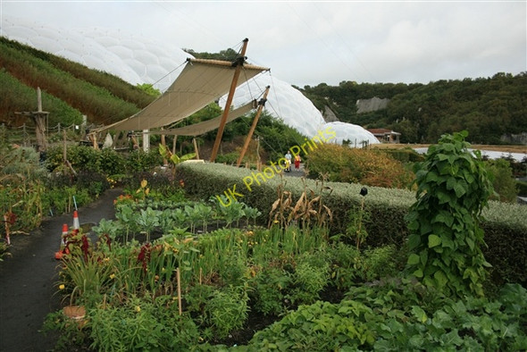 Photo 6"x4" Gardens and shelter, Eden Project St Austell c2007