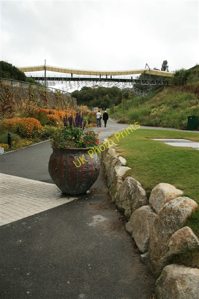 Photo 6"x4" Bridge, Eden Project Bodelva c2007
