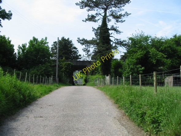 Photo 6"x4" View along road to Great Watersend Temple Ewell c2008