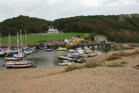 Photo 6"x4" Moorings, Seaton Seaton\/SY2490 c2007