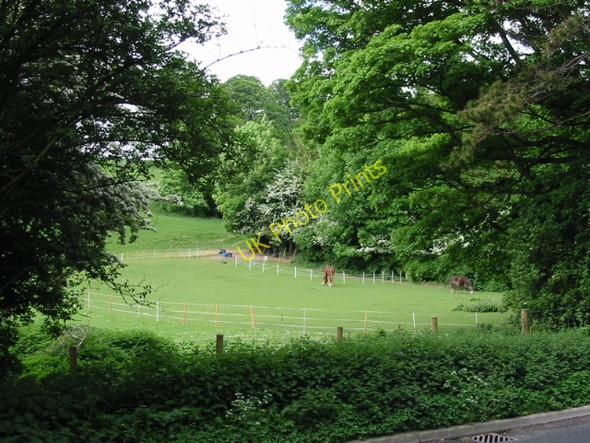 Photo 6"x4" Horses in paddock near Little Watersend Temple Ewell c2008