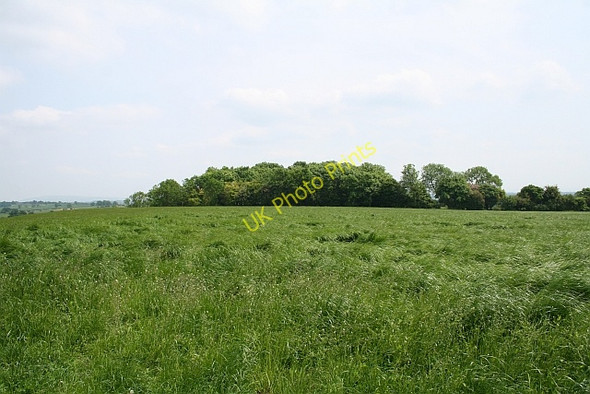 Photo 6"x4" Hilltop pasture Birts Street c2008