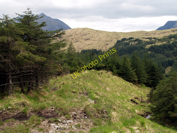 Photo 6"x4" Start of forest path down Gleann Charnan Dalness\/NN1651 c2008