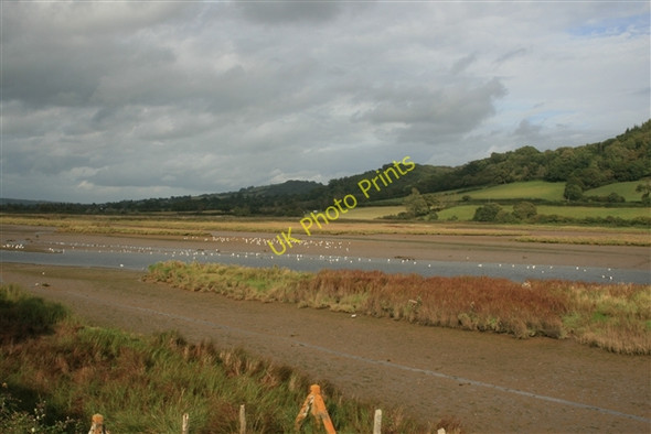 Photo 6"x4" Axe estuary Seaton\/SY2490 c2007