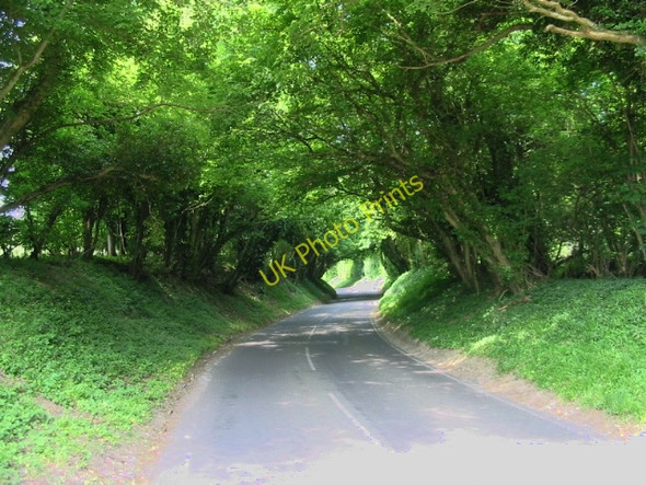 Photo 6"x4" Looking W along Swanton Lane Chalksole c2008