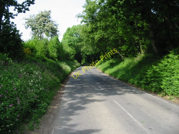 Photo 6"x4" View along Swanton Lane Chalksole c2008