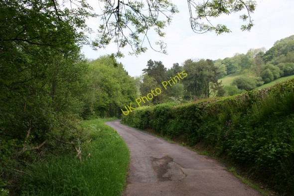 Photo 6"x4" The lane to Ynys Clydach Pentre'r-felin\/SN9130 c2008