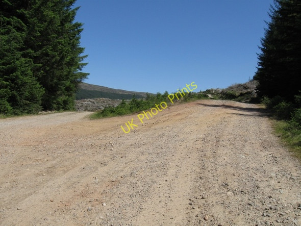 Photo 6"x4" Forest track junction Corpach\/A'Chorpaich c2008