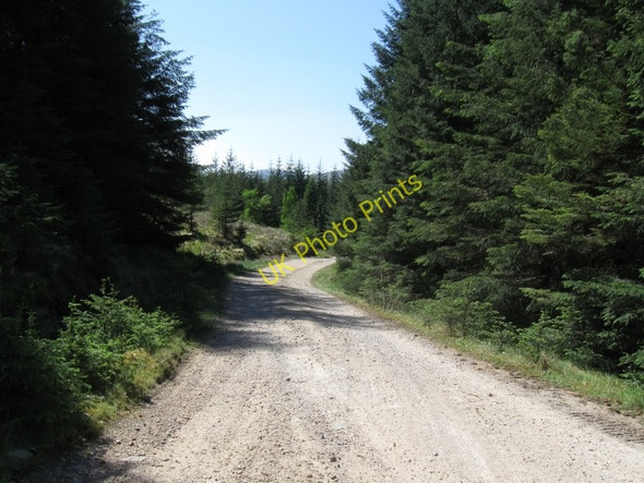 Photo 6"x4" Forestry track Corpach\/A'Chorpaich c2008