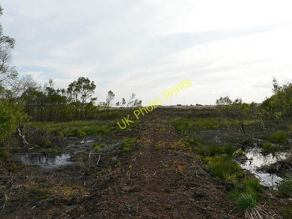 Photo 6"x4" Causeway across dismantled railway Bowness-on-Solway c2008