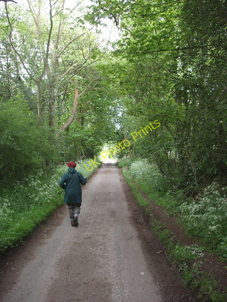 Photo 6"x4" Hollandridge Lane, Christmas Common Christmas Common c2008