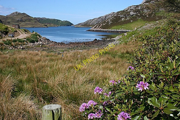 Photo 6"x4" Looking towards Loch a'Chadh-Fi from Skerricha Achlyness c2008