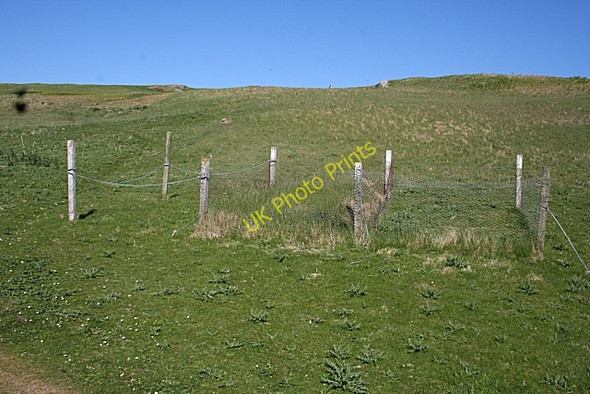 Photo 6"x4" Experimental Plots on the Machair Tarbet\/NC1649 c2008