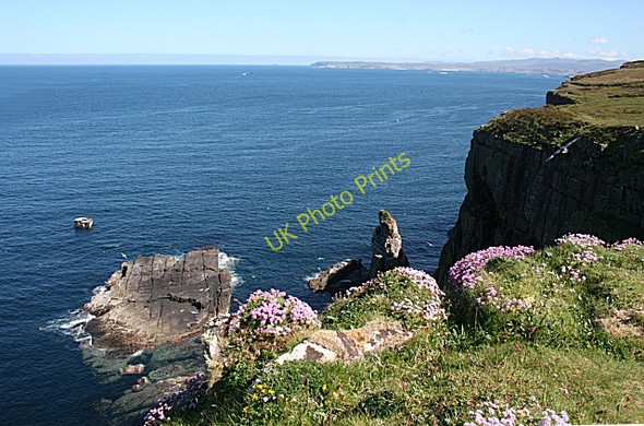 Photo 6"x4" North Handa Tarbet\/NC1649 c2008