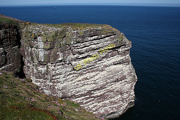 Photo 6"x4" The Great Stack of Handa Tarbet\/NC1649 c2008