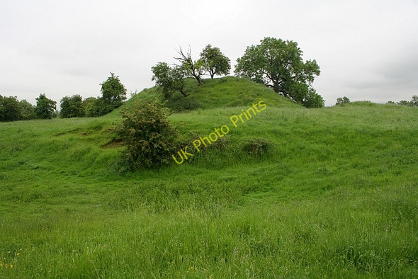 Photo 6"x4" Motte & Bailey, Castlemorton Castlemorton c2008