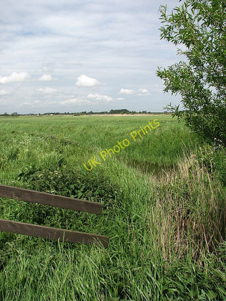 Photo 6"x4" View towards railway line Stokesby c2008