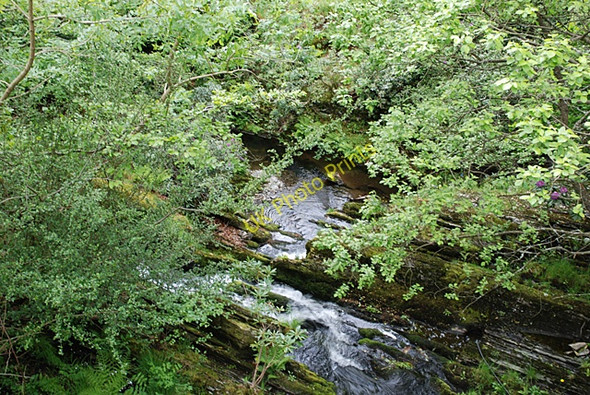 Photo 6"x4" The Afon Castell in Ponterwyd Ponterwyd c2008