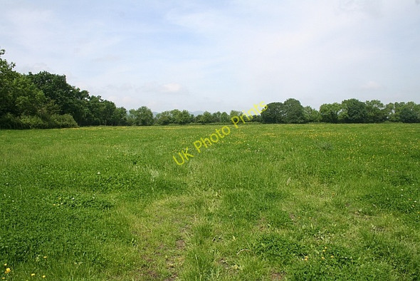 Photo 6"x4" Meadow opposite Home Farm Rye Street c2008