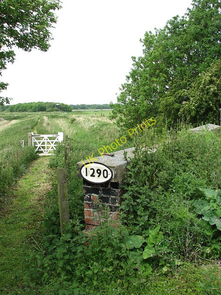 Photo 6"x4" View SW along footpath Stokesby c2008