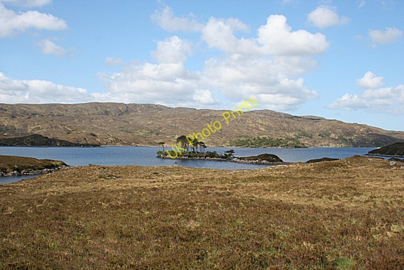 Photo 6"x4" Island in Loch Assynt Allt na Doire Cuilinn c2008