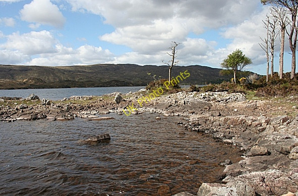 Photo 6"x4" On an Island in Loch Assynt Loch Assynt c2008 P1