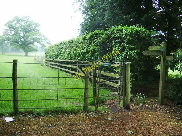 Photo 6"x4" Footpath at Casterton Hall Kirkby Lonsdale c2008