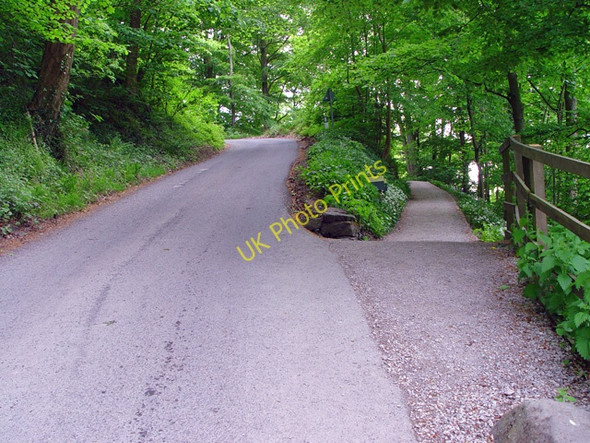 Photo 6"x4" Into Wandsworth wood Storiths c2008