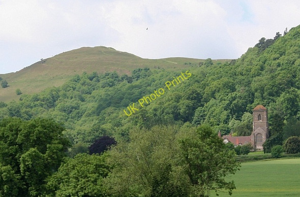 Photo 6"x4" Little Malvern Priory on the last day of May Upper Welland c2008