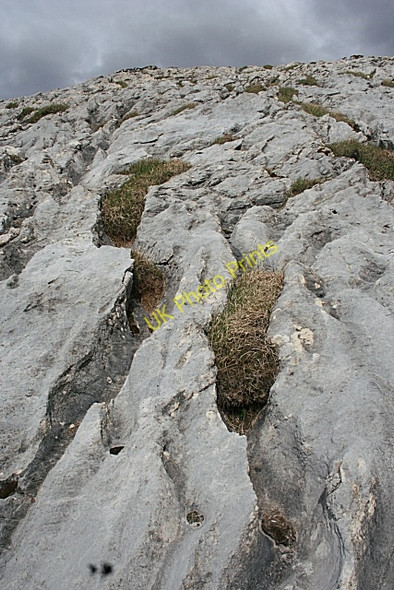 Photo 6"x4" Karst Weathering Inchnadamph c2008