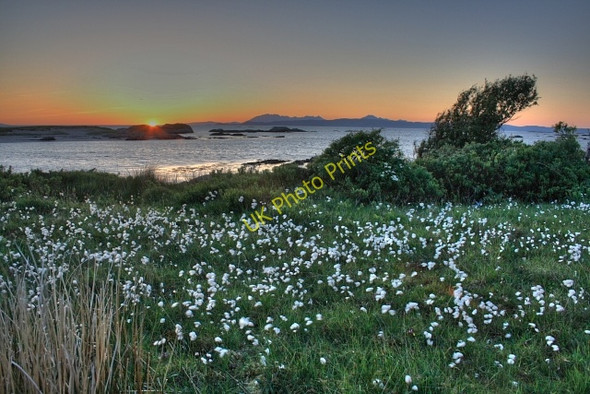 Photo 6"x4" Cottongrass and the Sound of Sleat Bunacaimb c2008