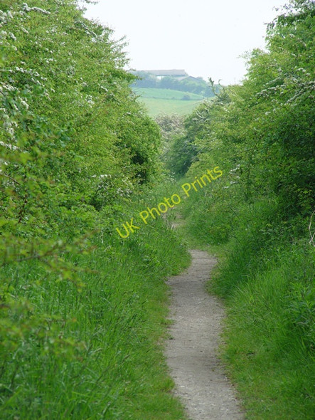 Photo 6"x4" The Hudson Way Goodmanham c2008