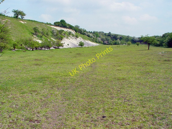 Photo 6"x4" Kiplingcotes Chalk Quarry Goodmanham c2008